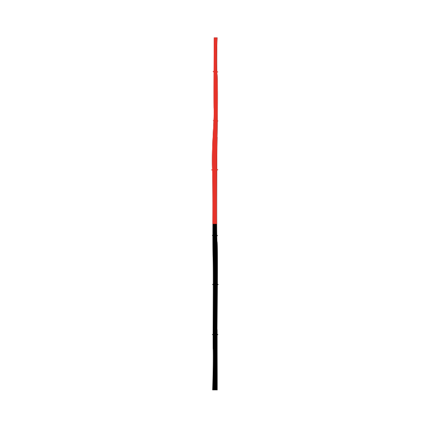 408 Bambusstangen / schwarz mit 80 cm orange