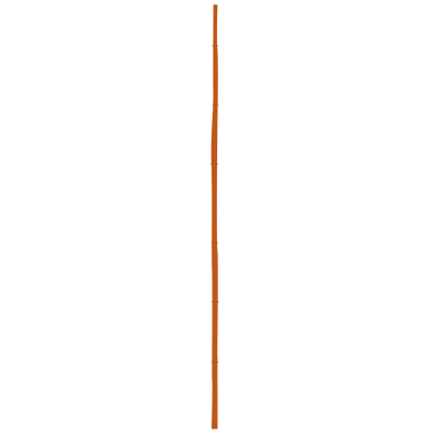 406 Bambusstangen / einfarbig orange