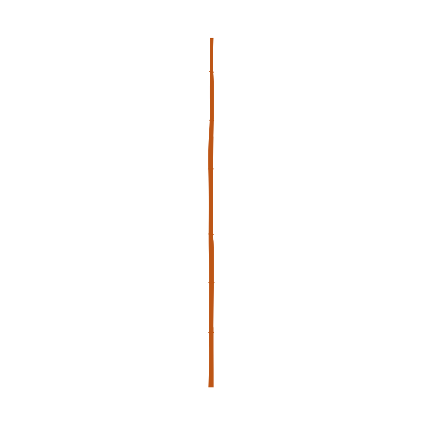 406 Bambusstangen / einfarbig orange